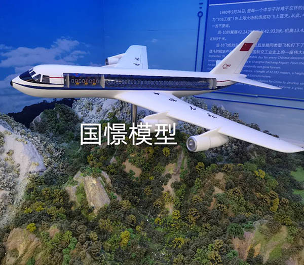 图们市飞机模型