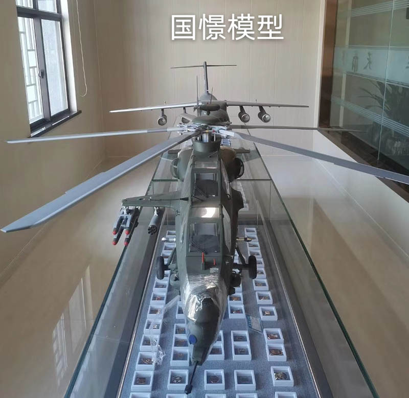 图们市飞机模型