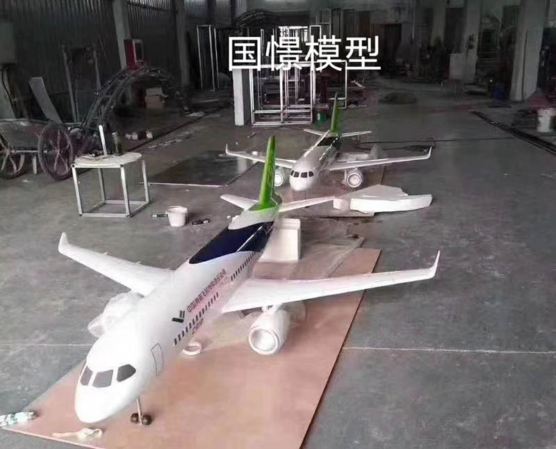 图们市飞机模型