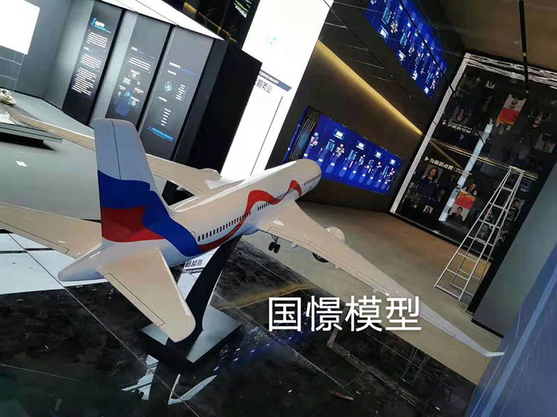 图们市飞机模型