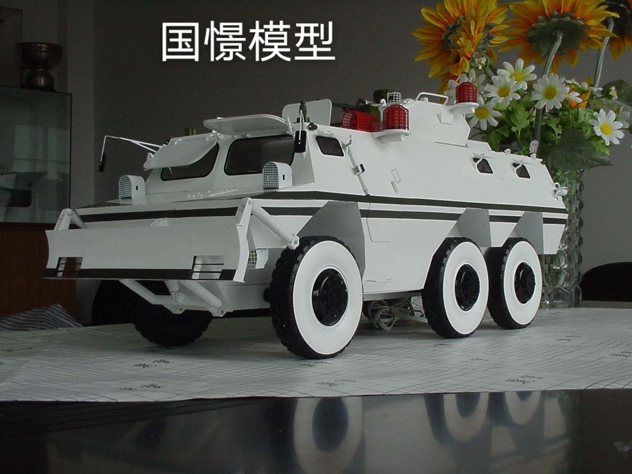 图们市军事模型