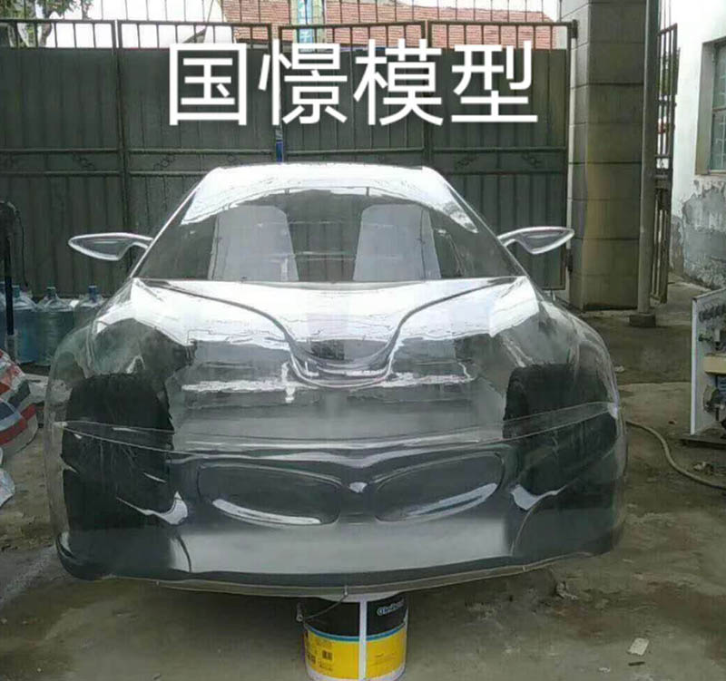 图们市透明车模型