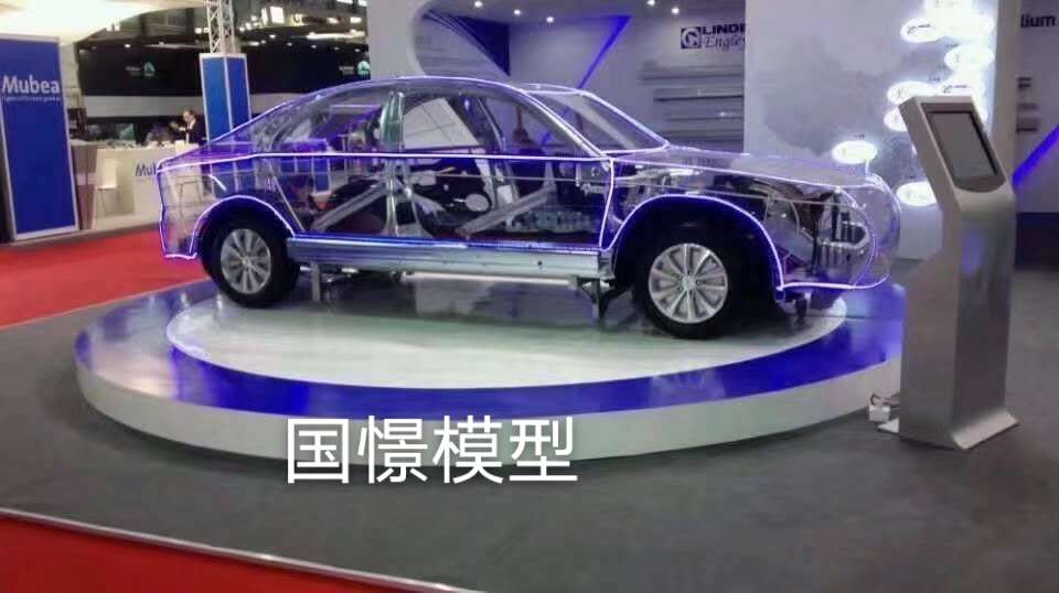 图们市透明车模型