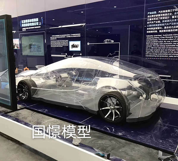 图们市透明车模型