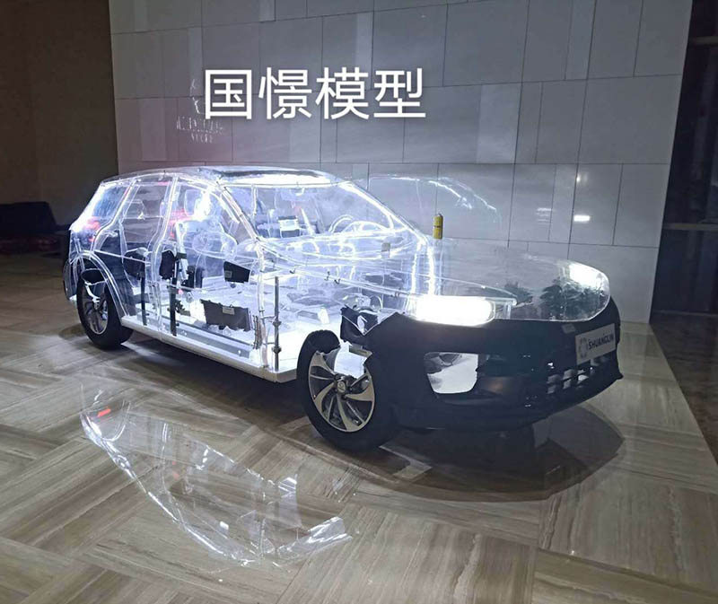 图们市透明车模型