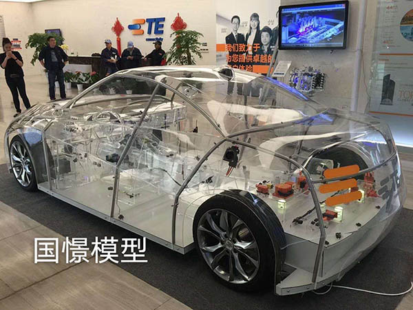 图们市透明车模型
